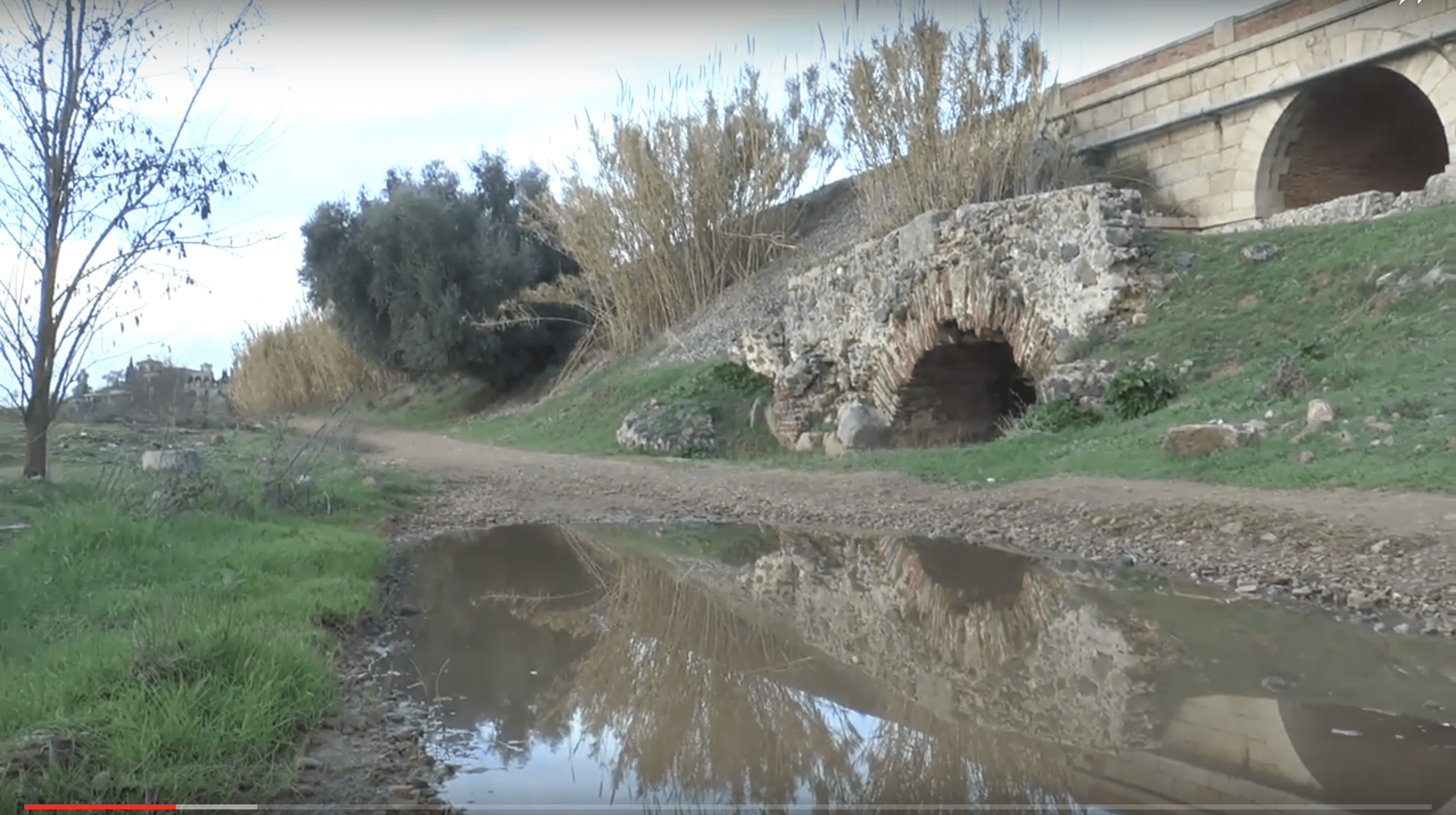 Vertidos industriales en Mérida