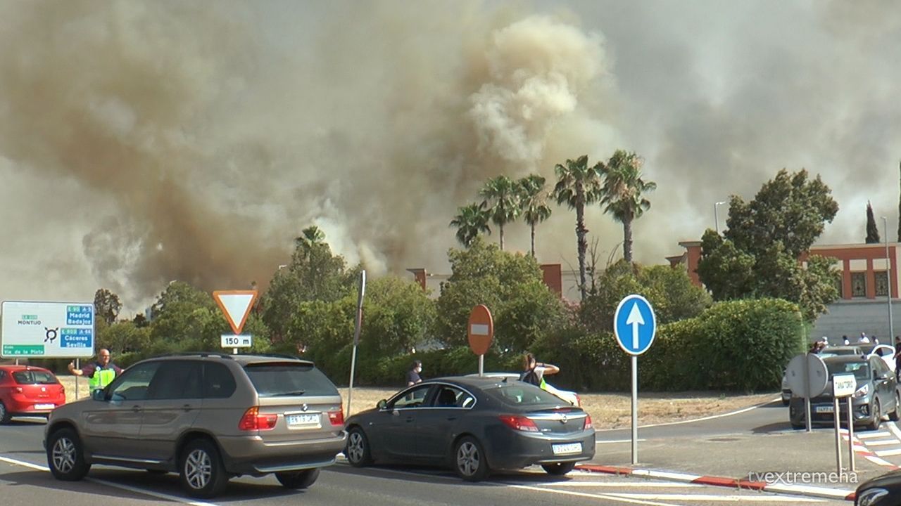 INCENDIO PASTOS TANATORIO 6