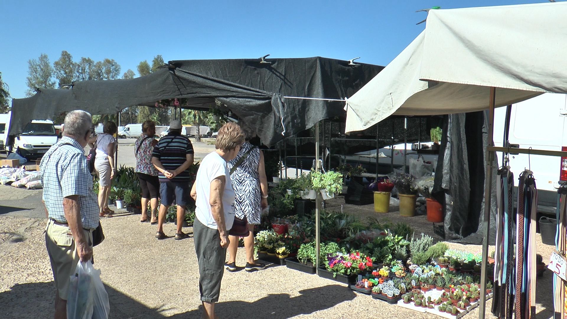 MERCADILLO FERIAL MERIDA 5