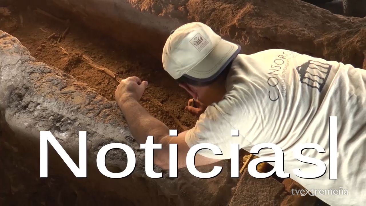 NOTICIAS ARQUEOLOGIA CONSORCIO