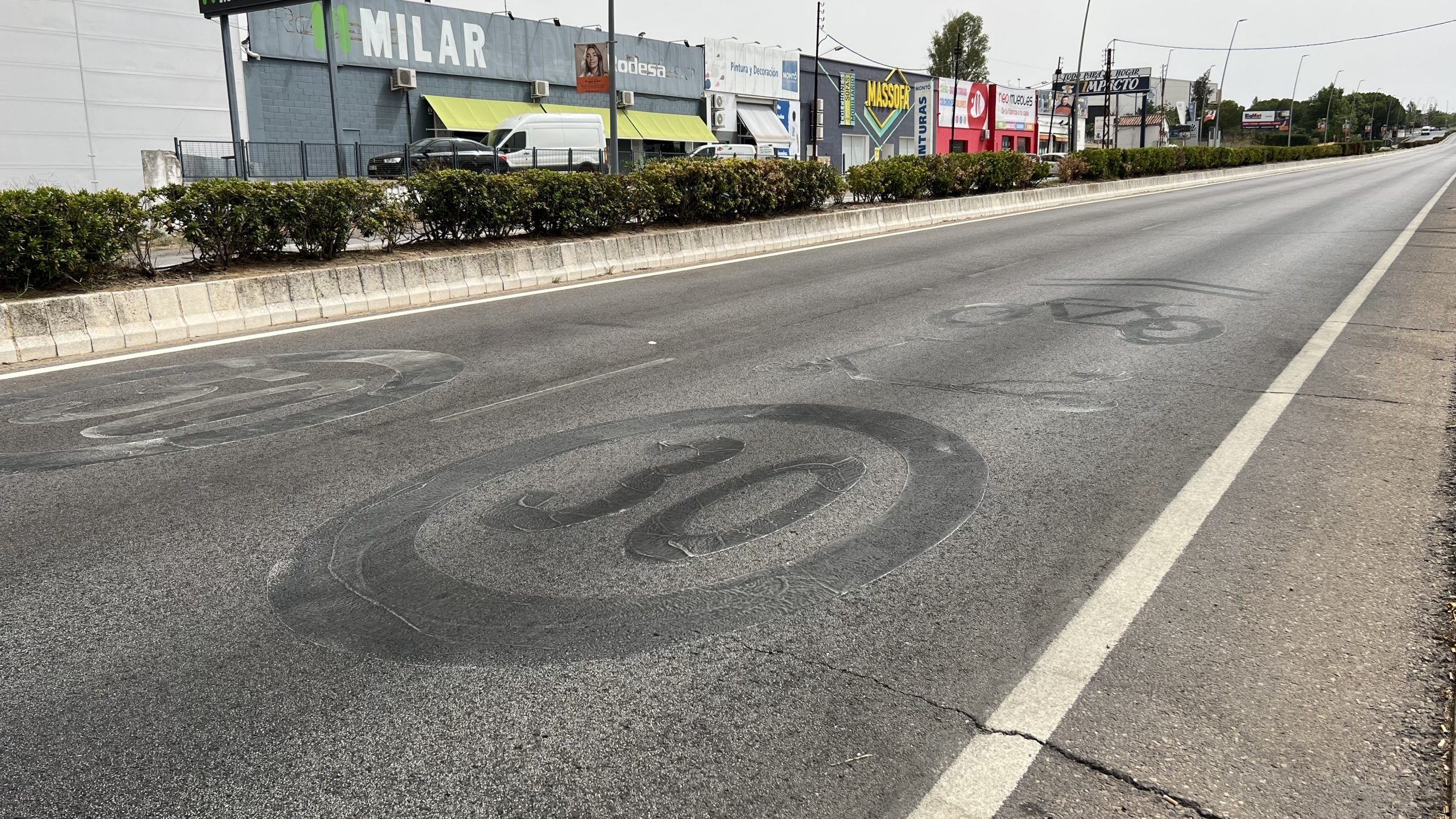 Carril bici patinete avenida Reina Sofía
