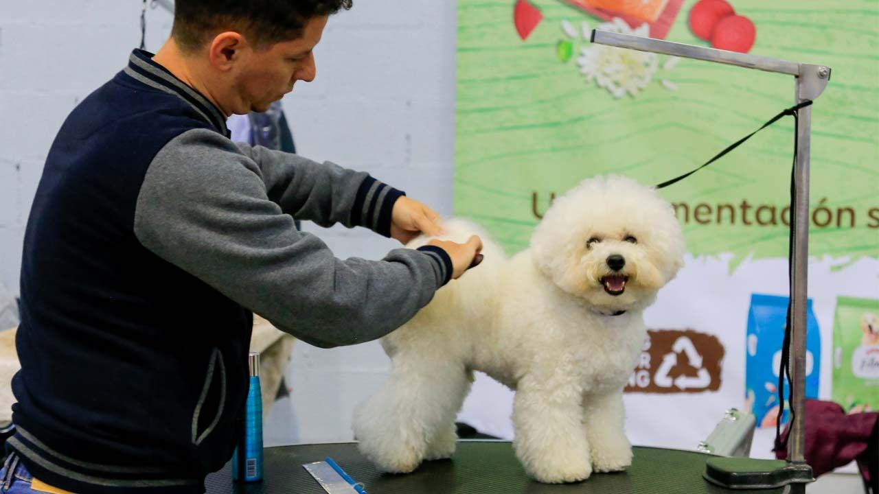 EXPOSICION CANINA
