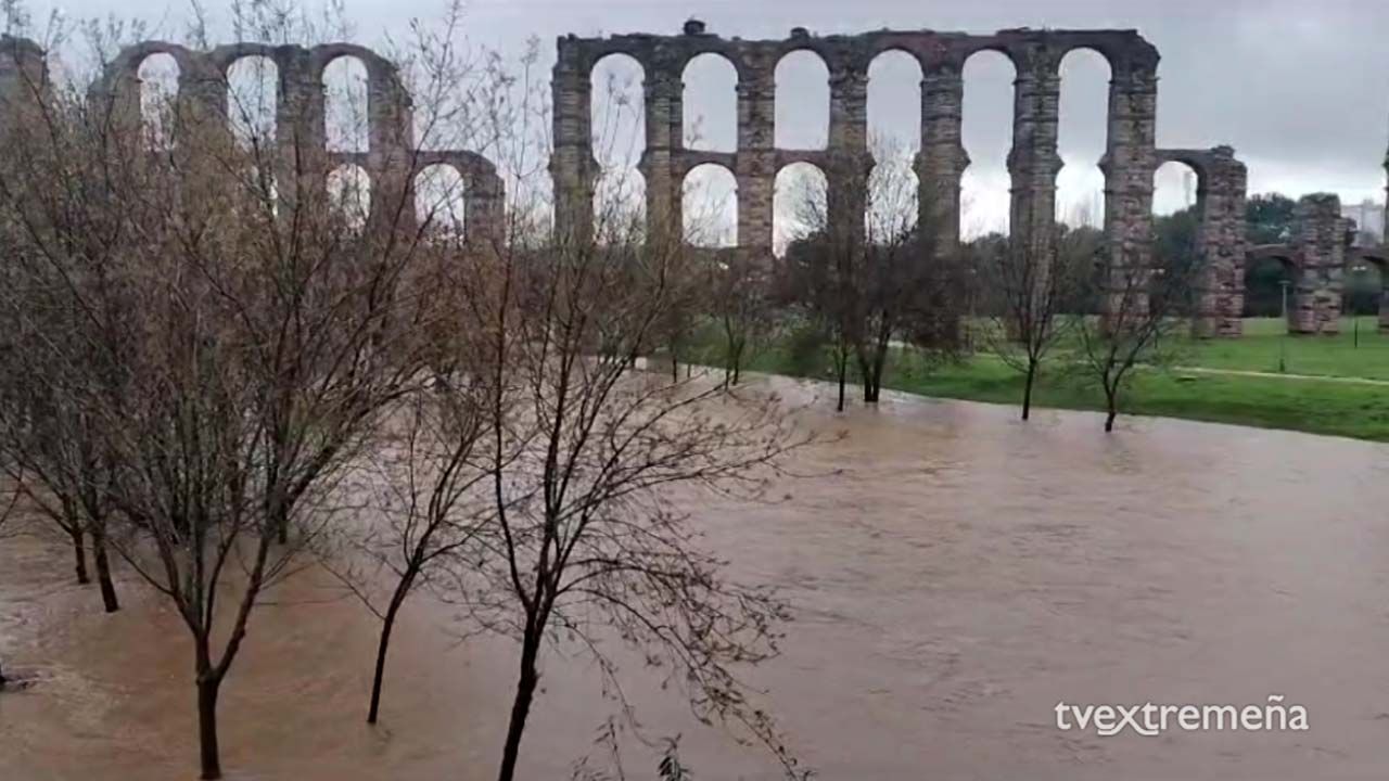 19-01-24 RIO ALBARREGAS TRAS LAS LLUVIAS