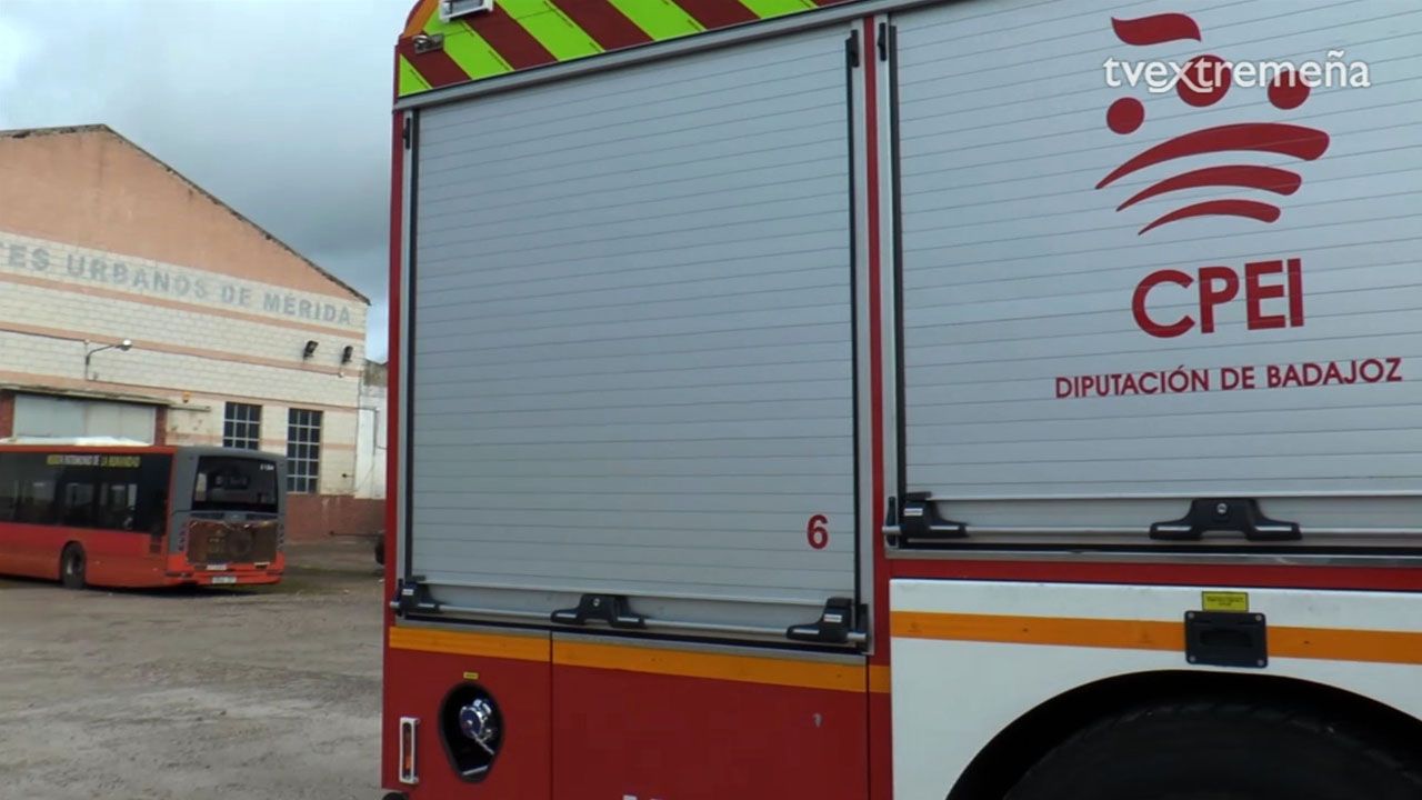 BOMBEROIS ALGODONERA