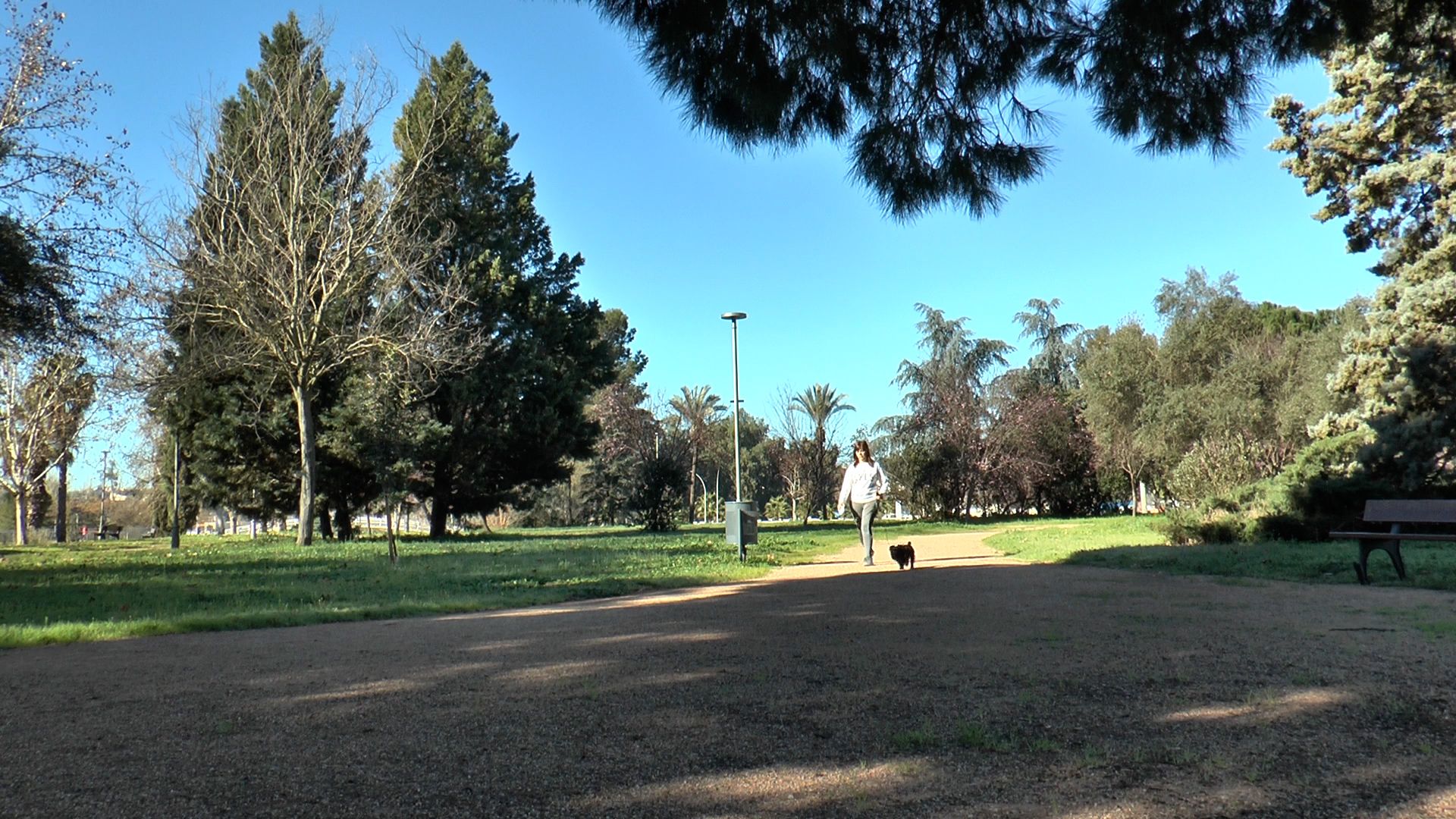 PASEO ALBARREGAS 2