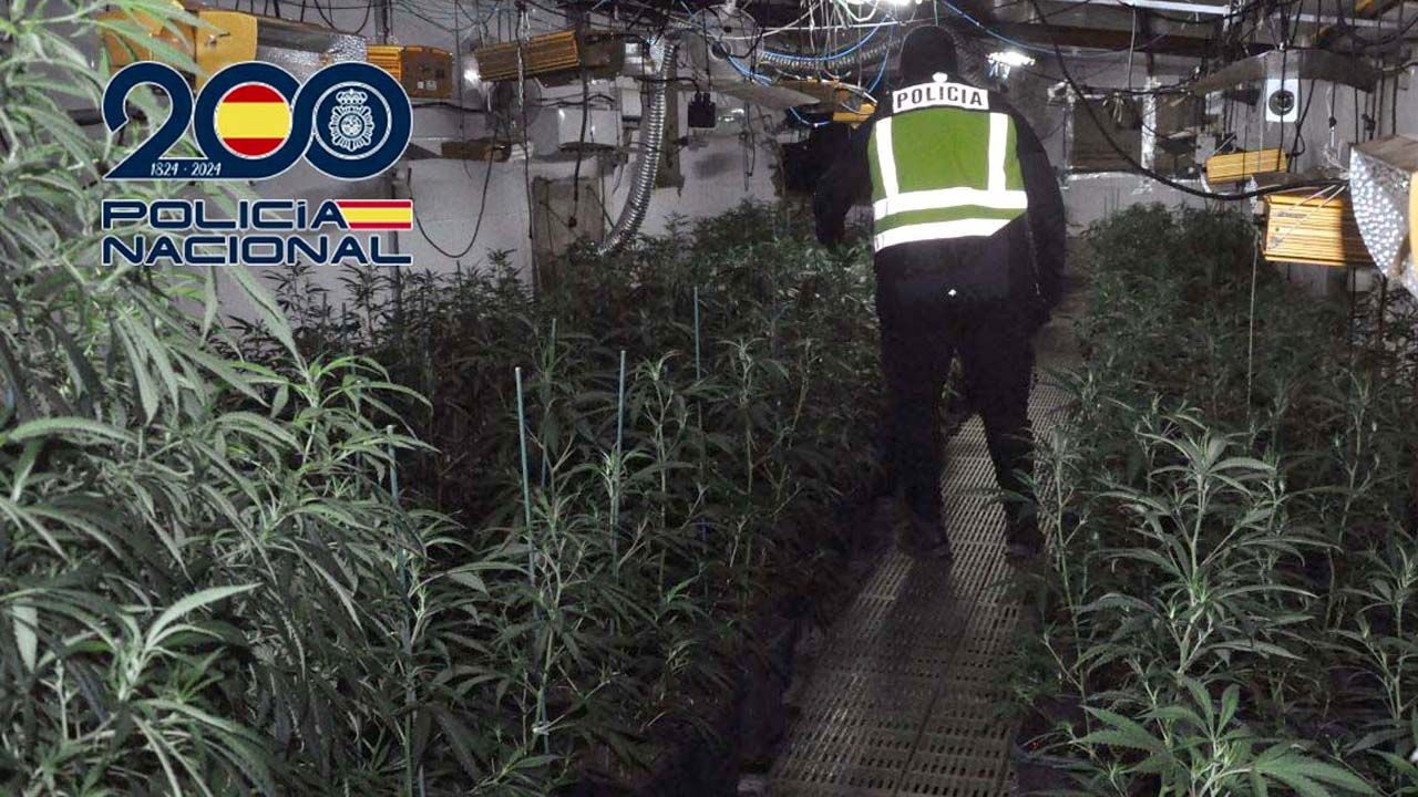 14-03-24 MARIHUANA MERIDA