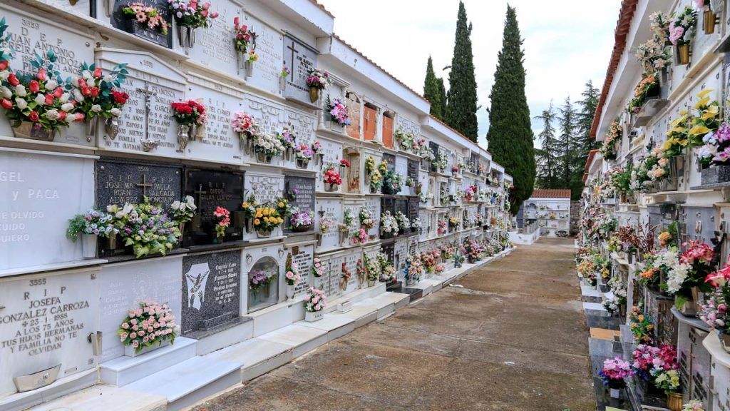 CEMENTERIO MUNICIPAL DE MERIDA 4
