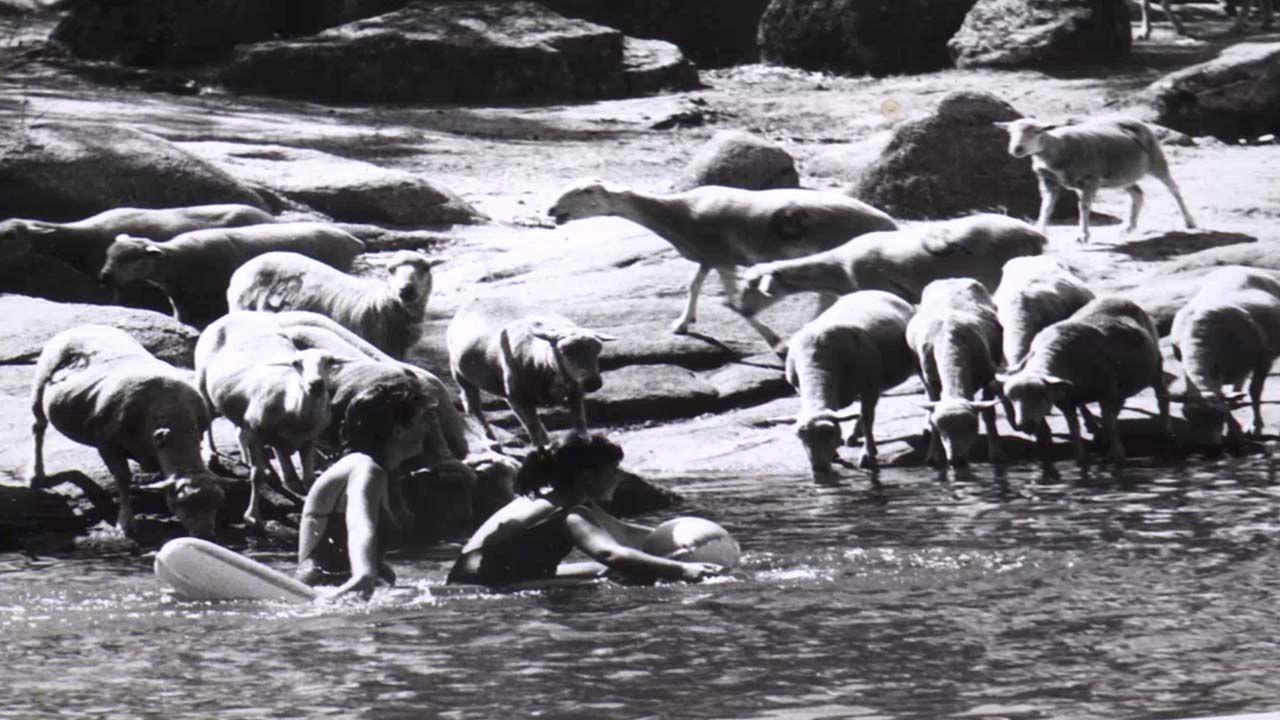 BAÑOS CON OVEJAS EN PROSERPINA