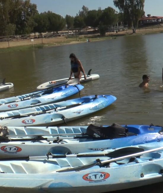 CAMPAMENTO URBANO DEPORTES ACUATICOS PROSERPINA