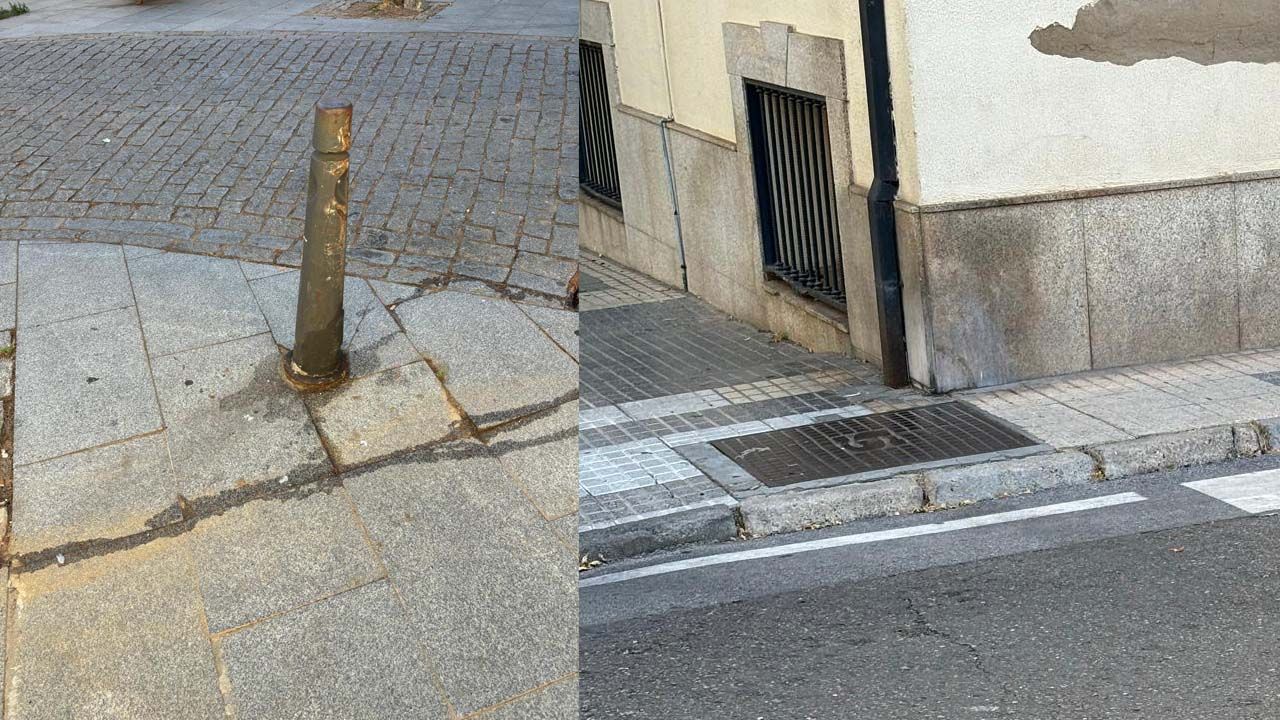 MANCHAS ORINA PERROS