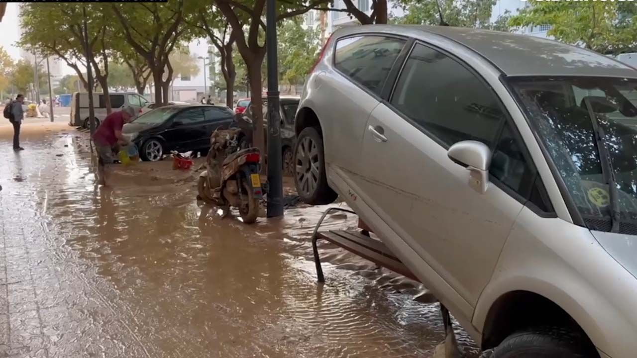 DANA LA TORRE VALENCIA