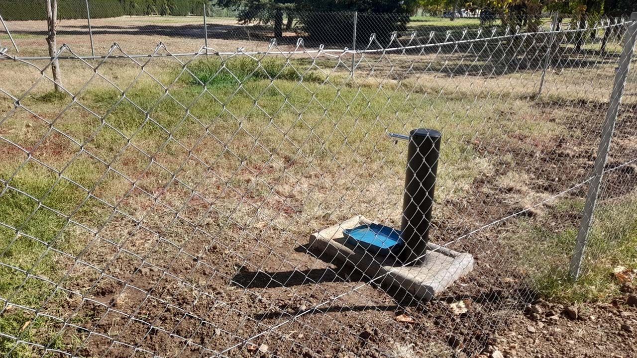 FUENTES DE AGUA POTABLE EN AREAS CANINAS