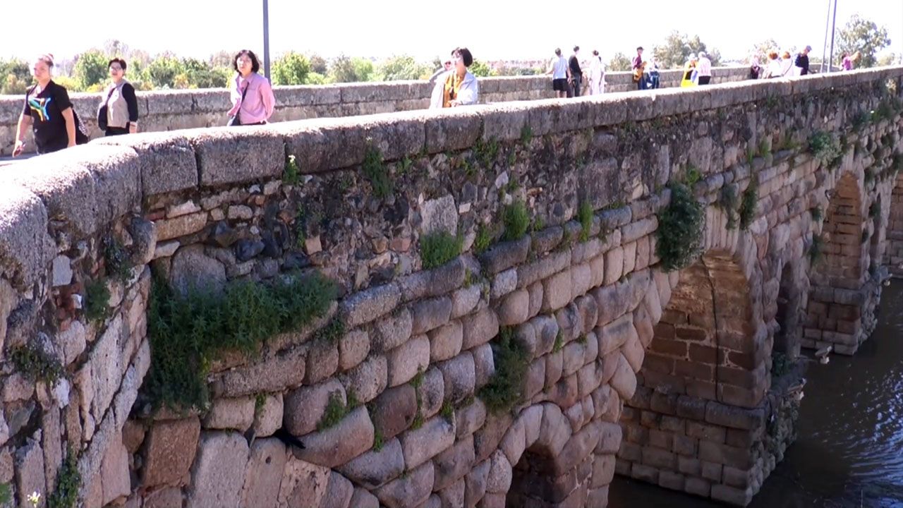 PUENTE ROMANO CON ARBUSTOS