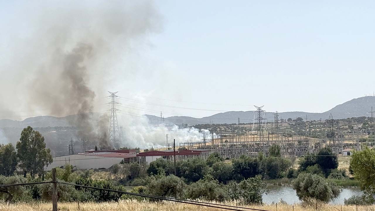 17-06-25 INCENDIO DE PASTOS EN CARRETERA DE ALANGE EN MERIDA