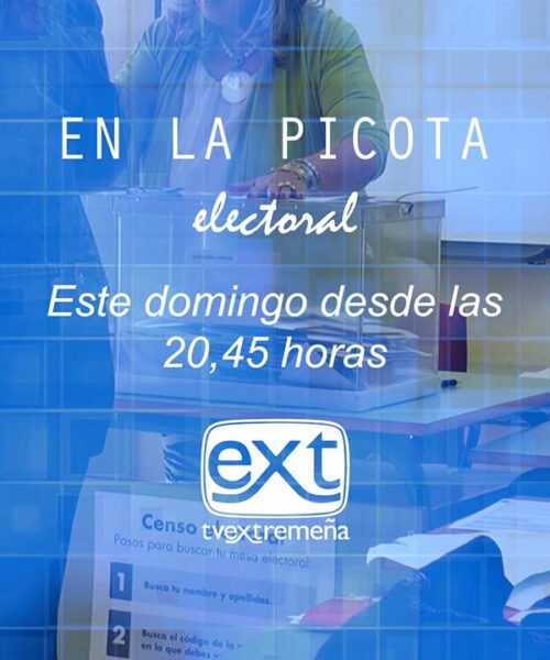 EN LA PICOTA ELECTORAL