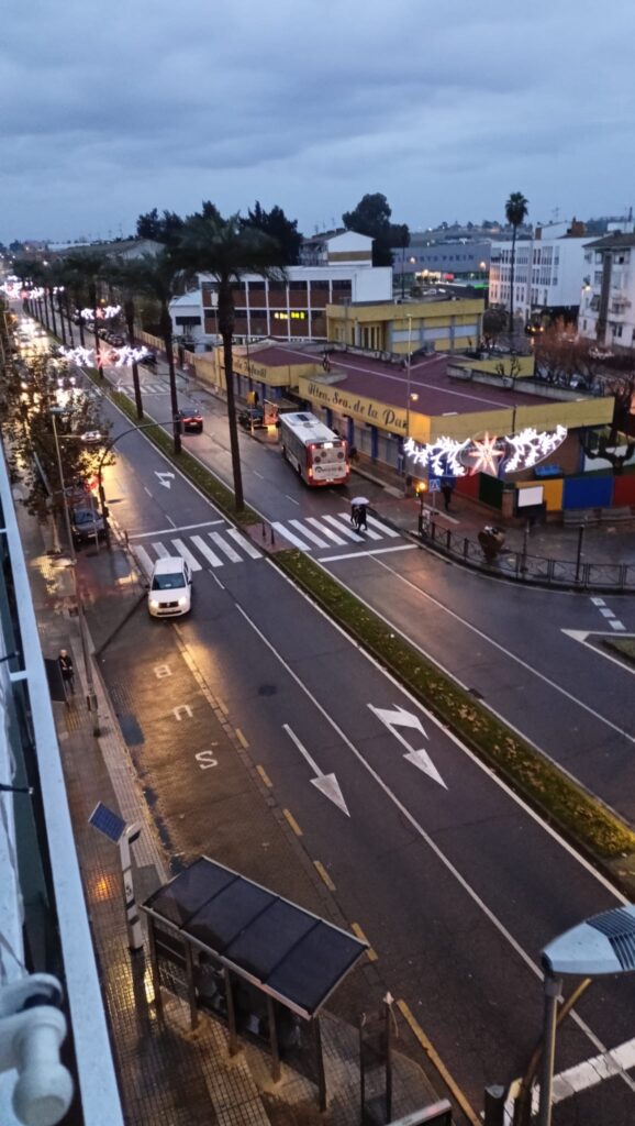 LUCES DE NAVIDAD AVENIDA JUAN CARLOS I 2025