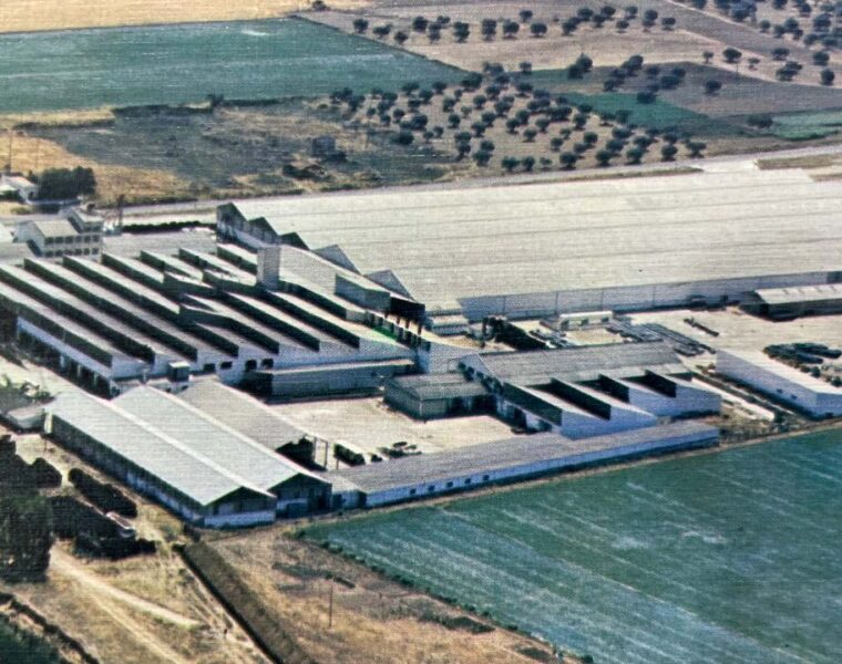 MATADERO DE MERIDA FOTO AEREA