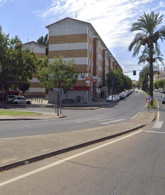 AVENIDA JUAN CARLOS I PASO DE PEATONES CENTRO TRAJANO