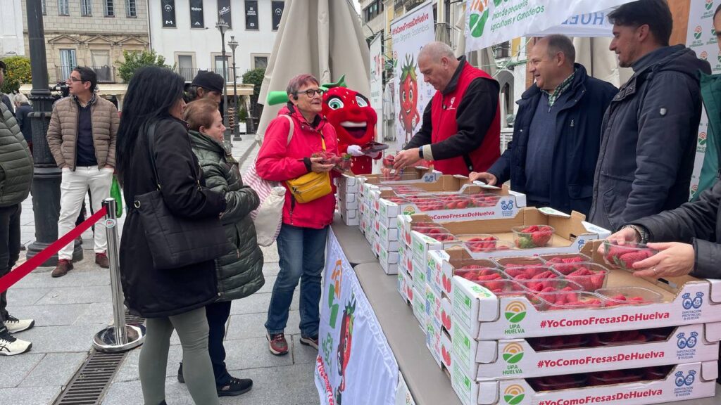 REPARTO DE FRESAS EN LA PLAZA DE ESPAÑA