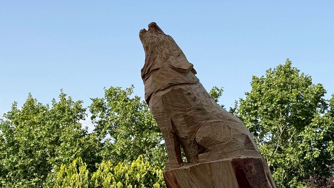 TALLA LOBA MADERA PASEO DE ROMA 4