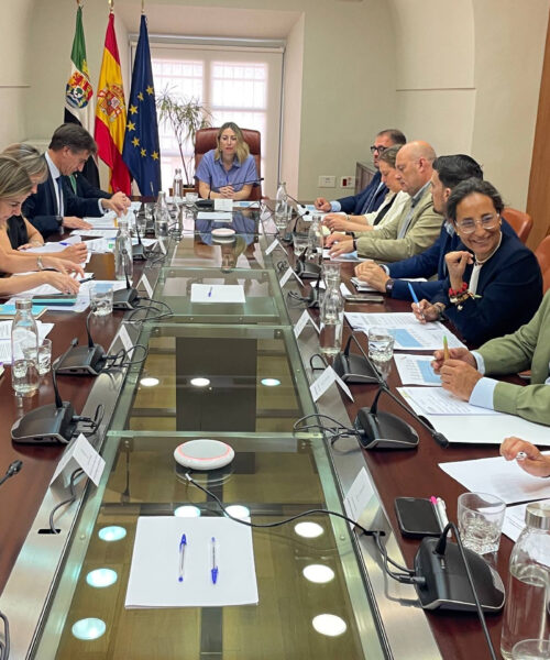 REUNION ESTATUTO CAPITALIDAD 2026