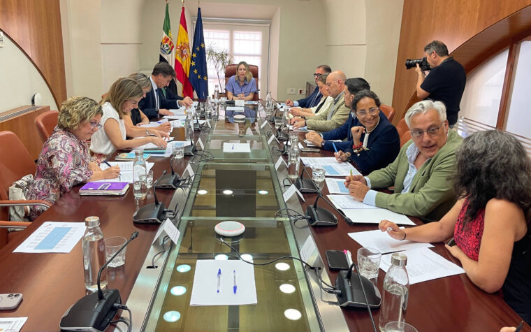 REUNION ESTATUTO CAPITALIDAD 2026