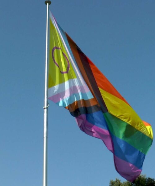 BANDERA LGTBIQ+