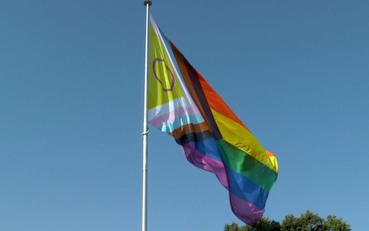 BANDERA LGTBIQ+