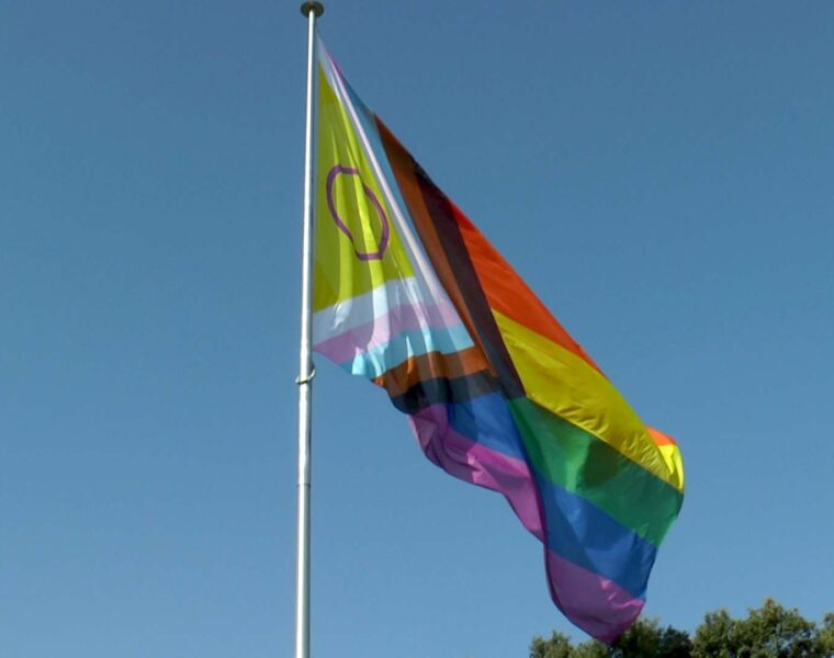 BANDERA LGTBIQ+