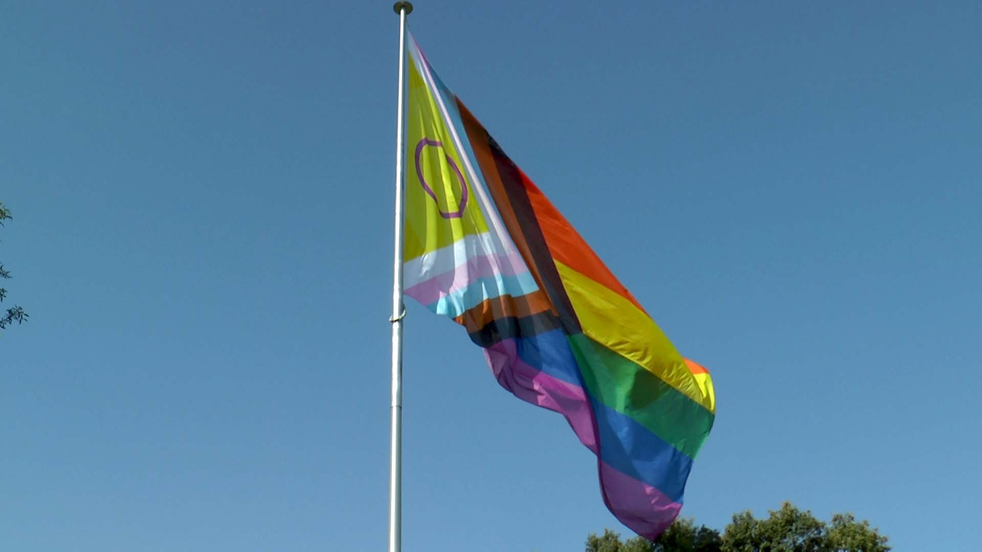 BANDERA LGTBIQ+