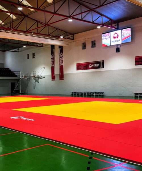REMODELACION DEL PABELLON DIOCLES