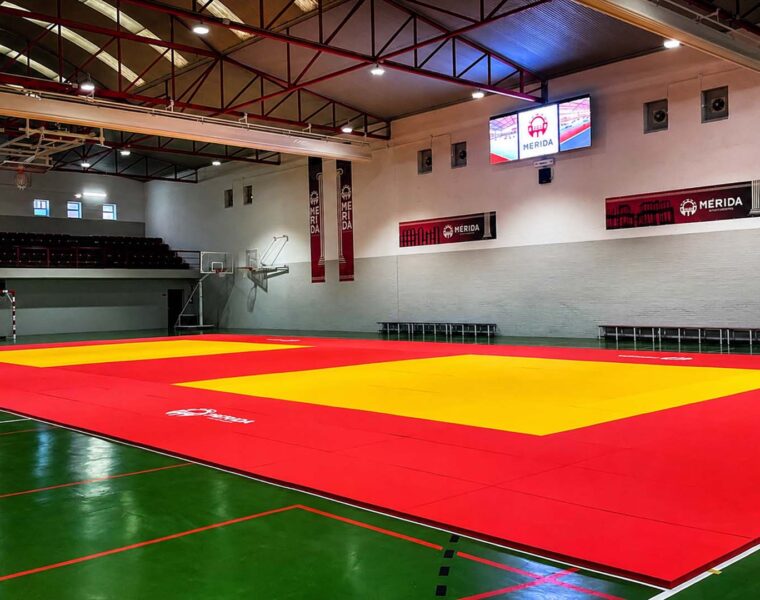 REMODELACION DEL PABELLON DIOCLES