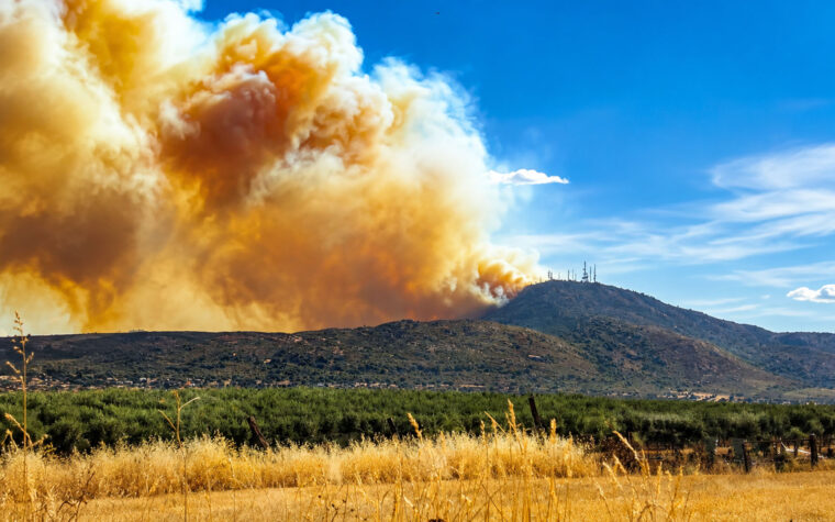 INCENDIO EN LA SIERRA DE AROYO DE SAN SERVAN