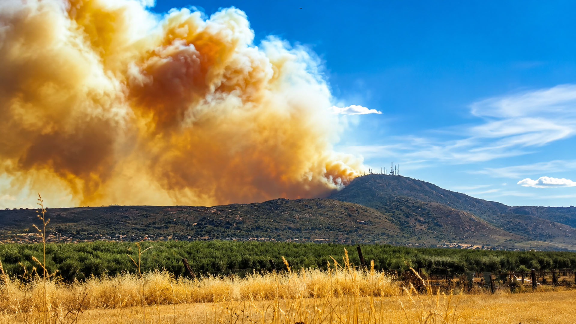 INCENDIO EN LA SIERRA DE AROYO DE SAN SERVAN