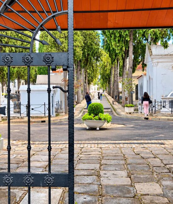 CEMENTERIO MUNICIPAL MERIDA 7 PUERTA