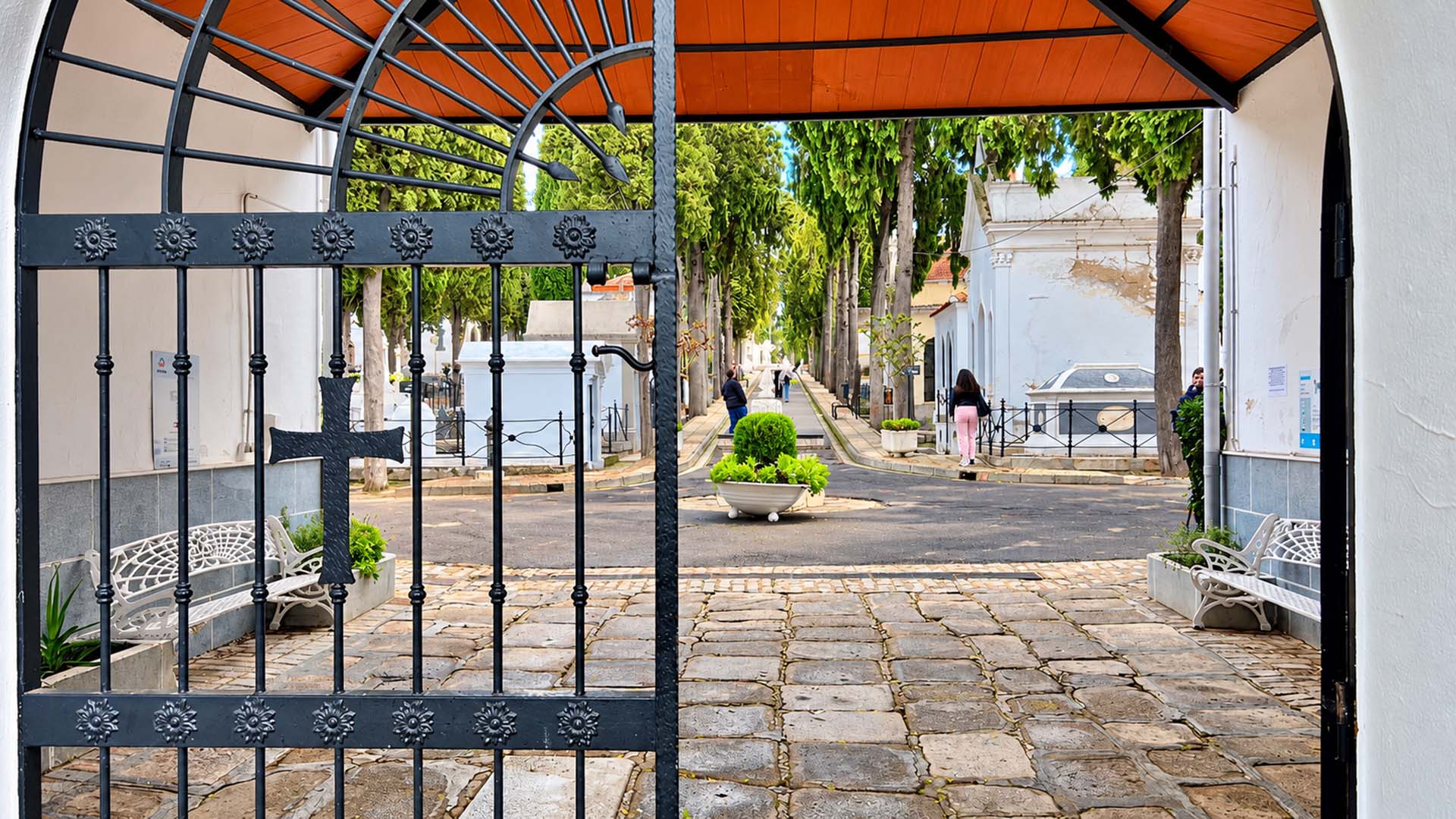 CEMENTERIO MUNICIPAL MERIDA 7 PUERTA