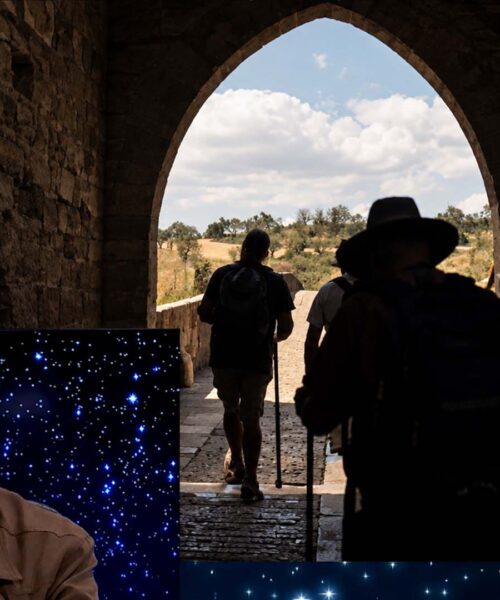 LUIS MARIA GONZALEZ CAMINO SANTIAGO