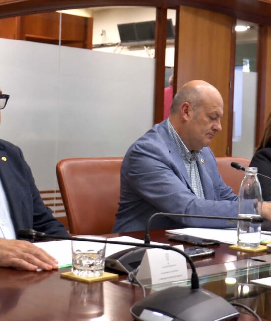 REUNION DE CAPITALIDAD 1