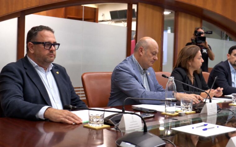 REUNION DE CAPITALIDAD 1